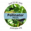 A Big Year for Butterflies (and Moths!): 40 State Governors Show Support for Annual Pollinator Week 