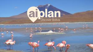 Aiplan