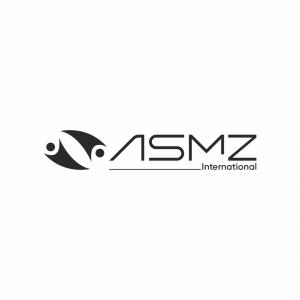 ASMZ International is a professional services and consulting company.
