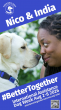 #BetterTogether campaign highlights importance of  high standards for assistance dogs