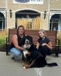 Off Leash K9 Training Pittsburgh Highlights Training Support for Dogs With Aggression and Reactivity Concerns