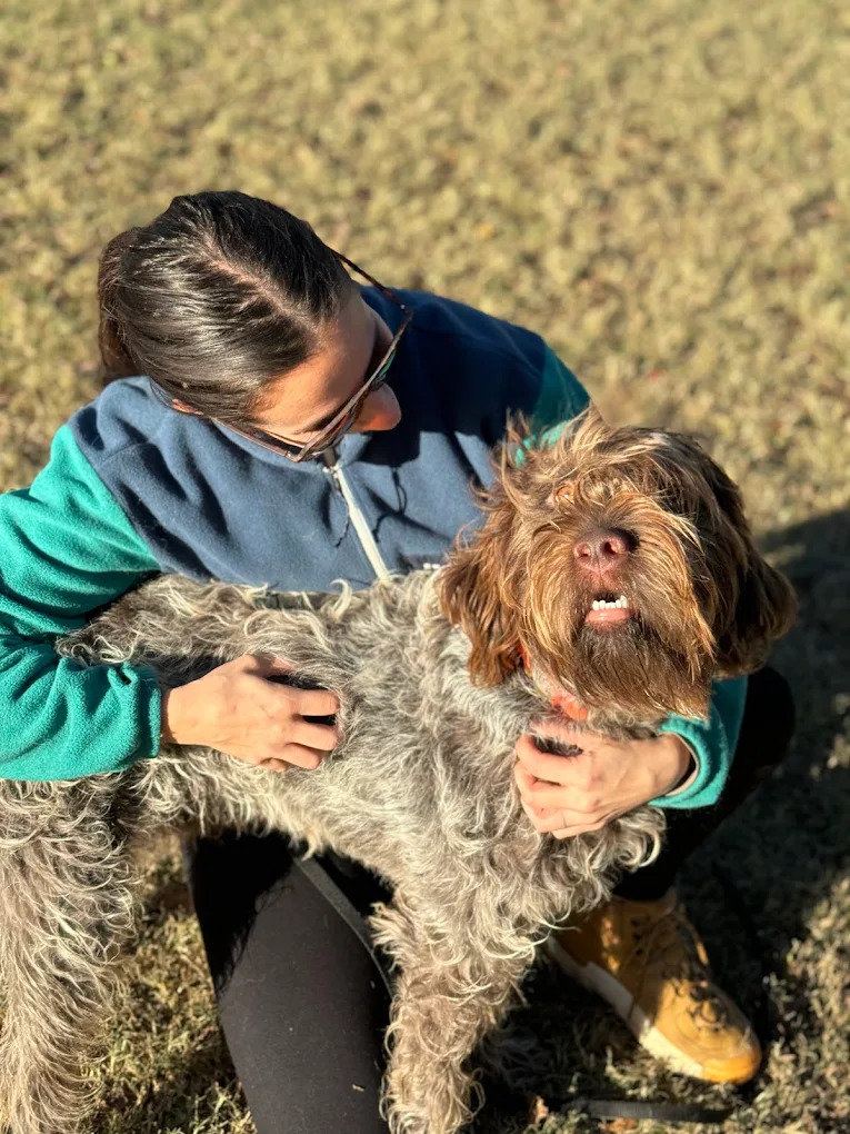 Off Leash K9 Training San Antonio Highlights Therapy Dog Development Program