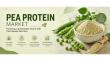 Pea Protein Market to Reach US$ 4.0 Bn by 2033 Driven by Plant-Based Food Demand