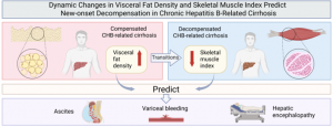 BODY COMPOSITION MARKERS FOR PREDICTING CHRONIC HEPATITIS B-RELATED CIRRHOSIS DECOMPENSATION ACROSS DISEASE STAGES.