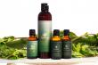 DEFY Medical Partners with NutriRoot to Bring Plant-Based Hair Regrowth System to Patients