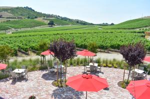 This is an image from Paso Robles, California.