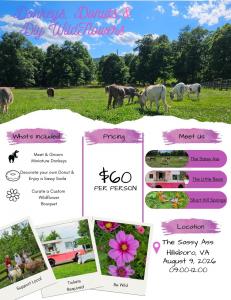 The Sassy Ass announced two upcoming seasonal events—Donkeys, Donuts, & DIY Wildflowers on August 9th, 2026 and Donkeys, Donuts, & Dahlias on October 11th, 2026—continuing the charming series that drew strong community interest during May’s Peonies version Donkeys, Donuts and DIY Wildflower flyer