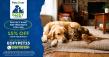 Petcover Australia launches biggest sale to help more Australians protect their pets amid rising living costs