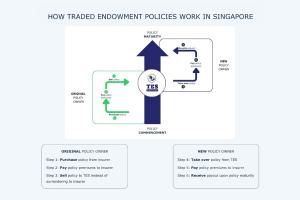 Diagram illustrating how traded endowments work