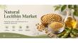 Natural Lecithin Market to Reach US$1389.9 Mn by 2033 on Clean Label Demand