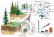 Ancient, Nutrient-Poor Soils Harbor More Stable Microbial Communities