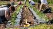 How Community Ownership Creates Affordable Spaces, Local Power, and Lasting Community Wealth