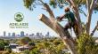 Adelaide Tree Removals Highlights Safety-Focused Tree Care and Sustainable Urban Landscape Management