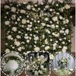 Global Leading Flower Row Solutions Provider Milestones: Yongnuo Awarded Premium Cultural Export Honor