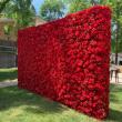 China Leading Flower Wall Company Innovations: Realizing Seamless 3D Flower Backdrop Assemblies