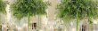 Certified Indoor Artificial Trees Manufacturer Protocols: Fire-Retardant Leaf Technology for Public Venues
