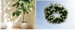 Wholesale Indoor Artificial Trees In the World: Market Analysis by Member of China Association of Simulated Plants
