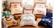 Intelligent Design Debuts the Dreamland Pop Collection