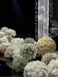 Global Leading Wedding Decorations Factory Showcases: Redefining Luxury Stage Backdrops at RomeSposa Exhibition