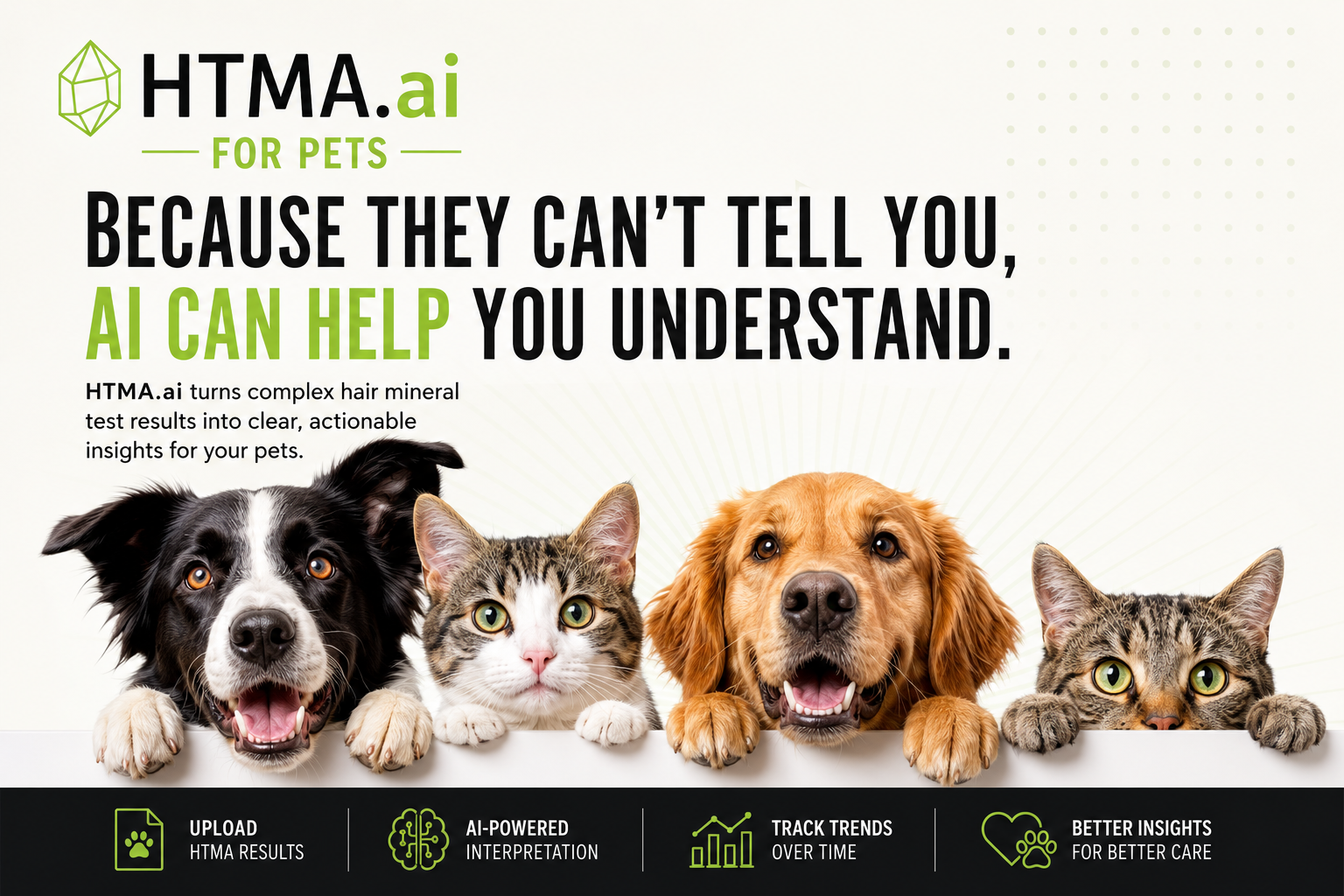 HTMA.ai Introduces AI-Powered Pet Mineral Wellness Reporting Tools