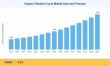 Organic Rankine Cycle Market Anticipated to Record a 9.8% CAGR Fueled by Industrial Waste Heat Recovery