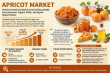 Apricot Market Expected to Reach USD 26.58 Billion by 2035, Driven by Organic Fruit Demand and Health Trends