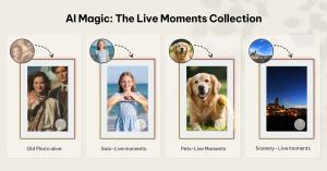 Homture_The Live Moments Collections