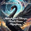 Dr. Duddha Announces 'Metaphysical Sherpa' Literary Trilogy, Academic Physics Submissions, Companion Album & Documentary