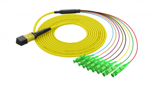 Patch Cord