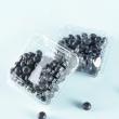 4 Distribution Advantages Offered by Top 10 Suppliers Of Biodegradable Fruit Punnets In China for Fresh Berries