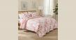 Regency Heights Launches Summer Quilt Series for Cooler Nights