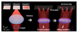 Parallel bright-field and multi-order edge imaging via wide field-of-view trichannel metalens