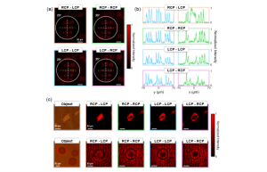 Fig. 2 Wide-FOV imaging and bioimaging results of the trichannel metalens. (a) Imaging results of Group 6 of the test target in different channels at normal incidence. The FOV zones marked by solid circles are 20°. The distance between the metalens and th