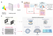 PhyspeNet: An empirical physics-aware network for adaptive speckle reconstructive spectrometry