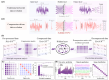 A compression-decompression framework for universal acceleration of photonic neuromorphic computing