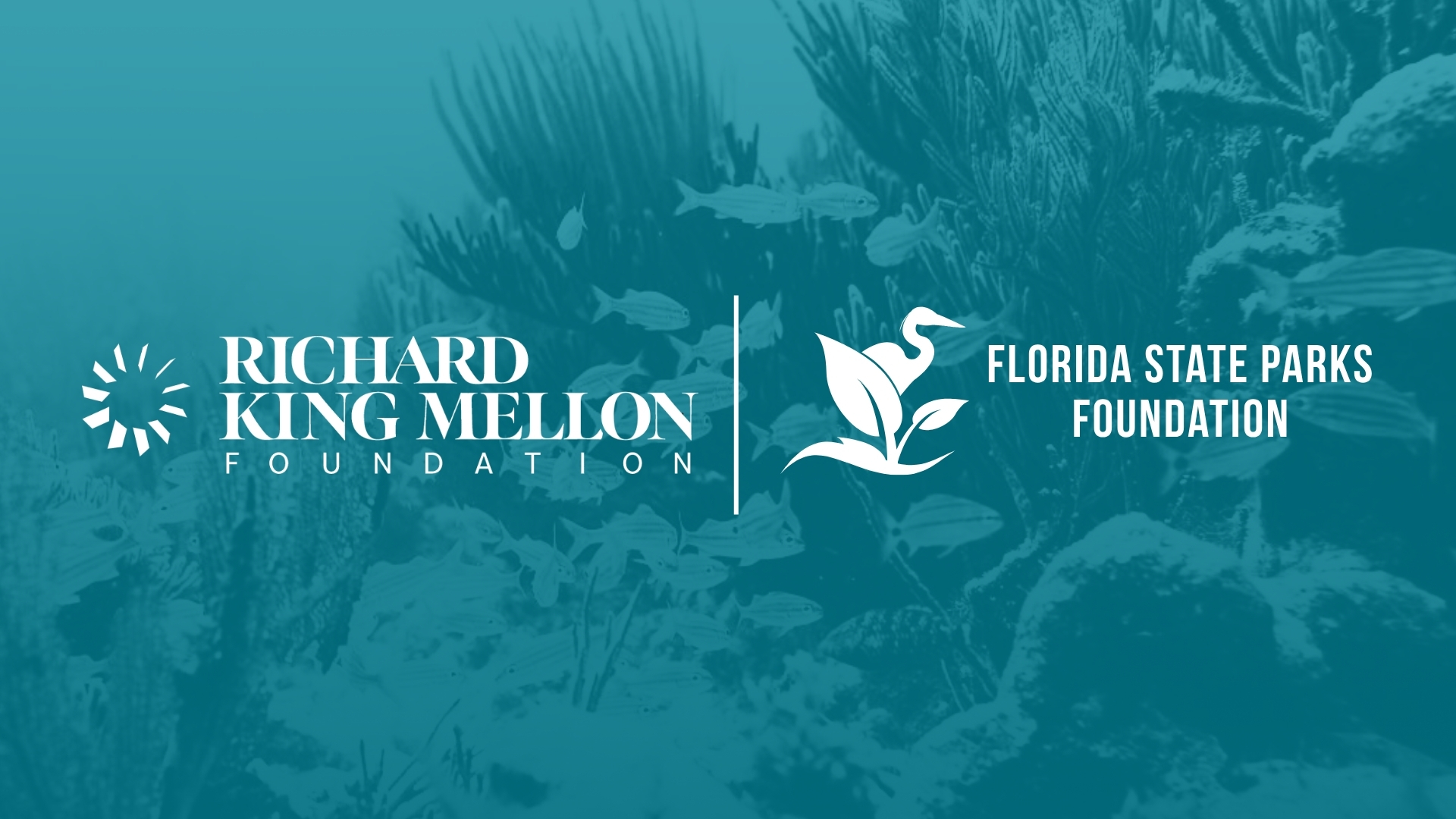 Discovery Center at John Pennekamp Coral Reef State Park Receives Major Investment from Richard King Mellon Foundation