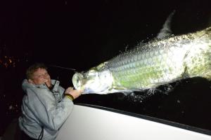 Sarasota Tarpon Fishing