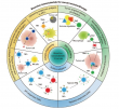 Bioactive nanomaterials help the immune system find hidden tumors