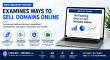 New Industry Report Examines Ways to Sell Domains Online