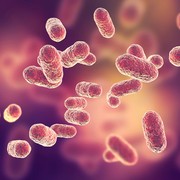 Host-directed therapy enhances antibiotic efficacy against intracellular periodontal pathogens