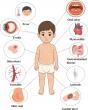 Beyond Behçet's Disease: A New Genetic Framework Helps Decode Pediatric Inflammatory Disorders