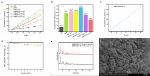 Dual-Doping Strategy Boosts Ammonia Production While Maintaining Stability