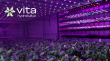 Vita Hydrokultur Opens £1.5m Series A Round to Scale Plant-Grown Skincare Ingredients