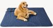 Friends Forever Pets Expands Outdoor Accessories Collection for Pet Owners