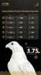 23% Sales Growth Reinforces the International Standing of the International Falcon Breeders Auction