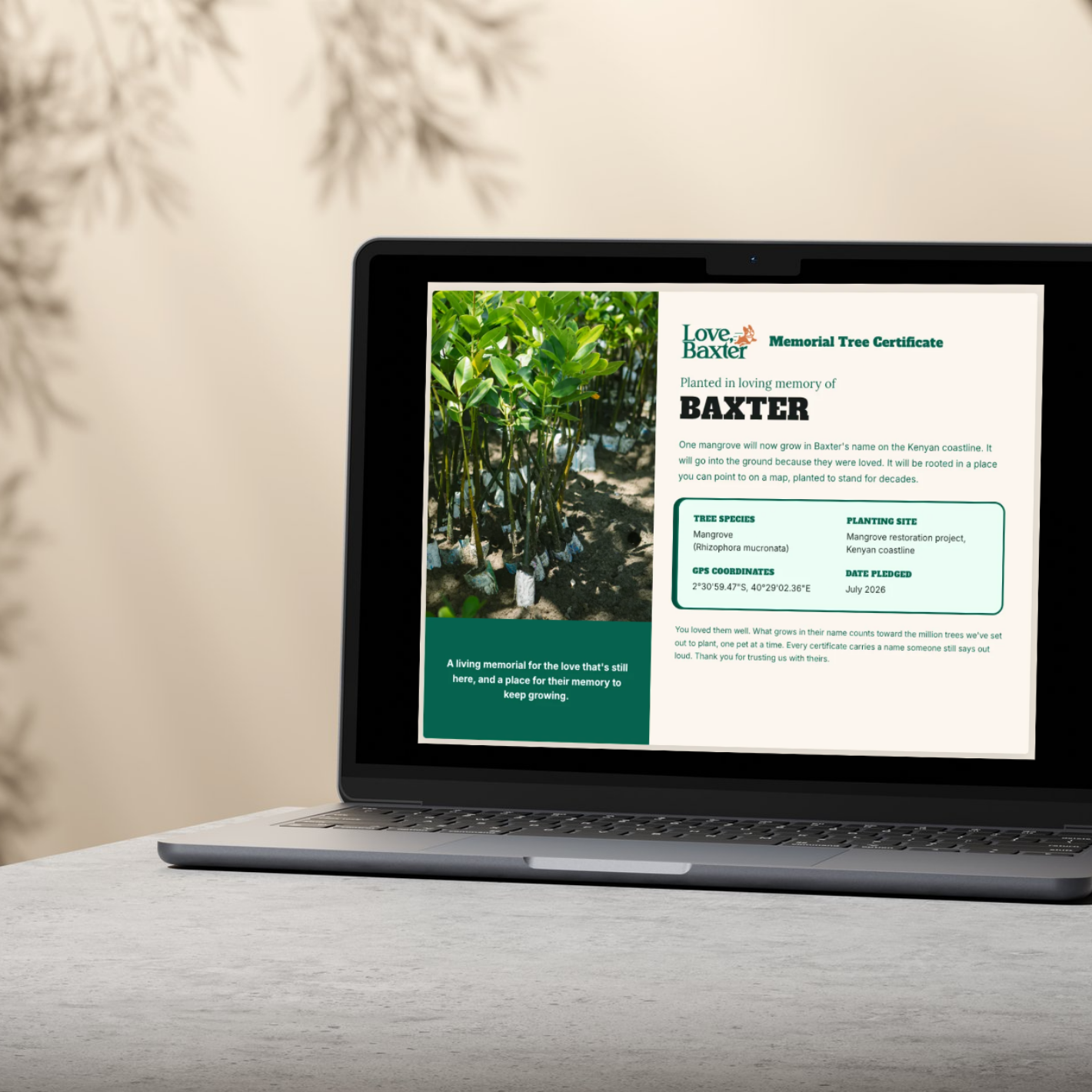 Love, Baxter Launches GPS-Verified Pet Memorial Trees From $12, With a Goal of One Million