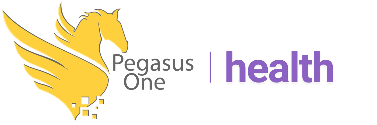 Pegasus One Formalizes Dedicated Healthcare Software Practice With Launch of PegasusOne.health
