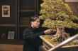 Shiba Park Hotel Presents Year-Round Bonsai Display Curated by BONSAI SADASYO