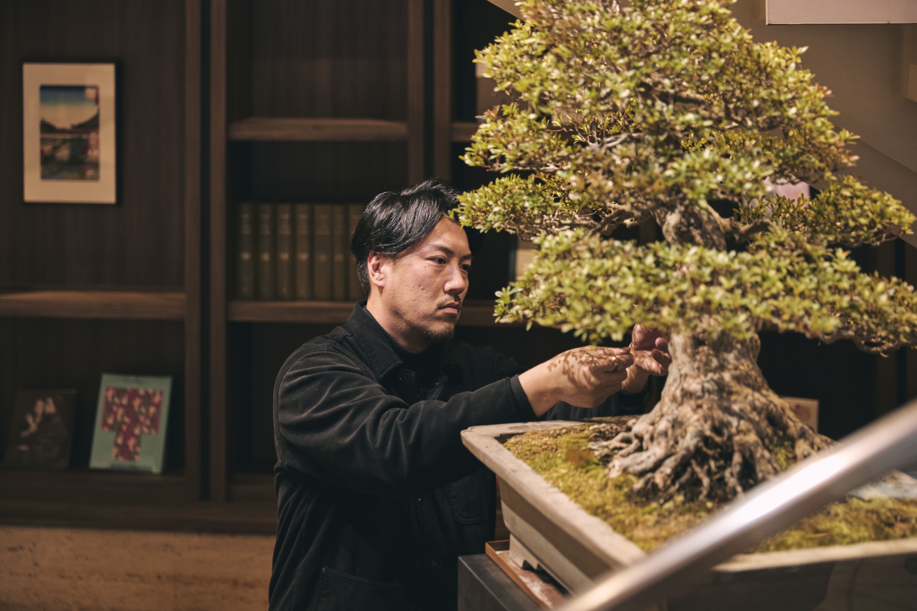 Shiba Park Hotel Presents Year-Round Bonsai Display Curated by BONSAI SADASYO