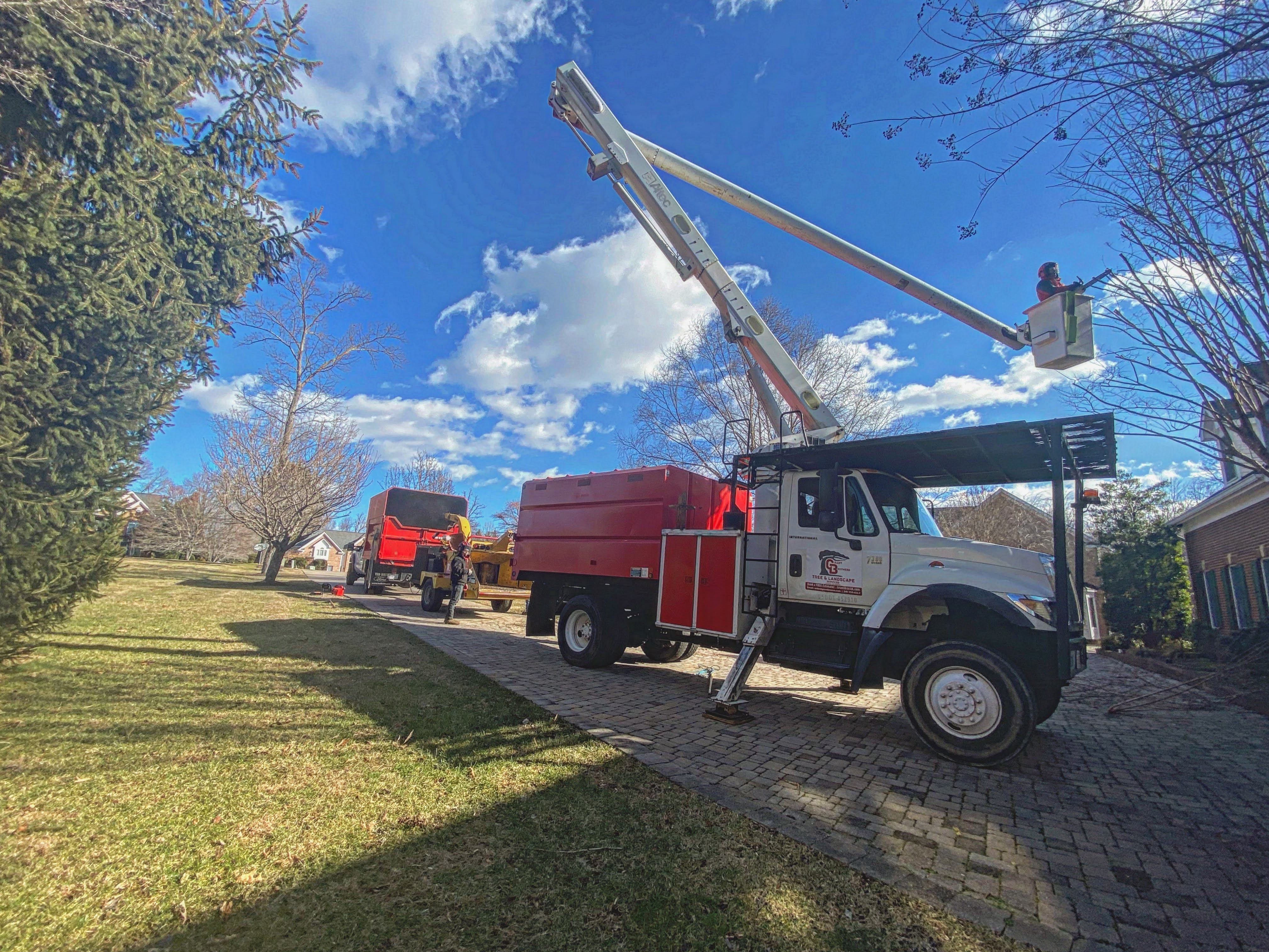 Grant Brothers Arborist Becomes First-Ever ATCP-Certified Professional in Virginia